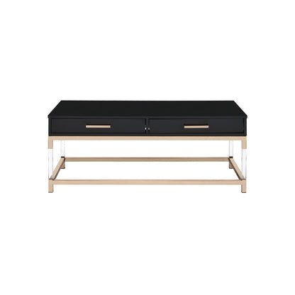 Black high gloss coffee table with two drawers. The table top rests on a gold frame and has clear acrylic legs that connect to the bottom gold frame. The drawers have matching horizontal gold handles.